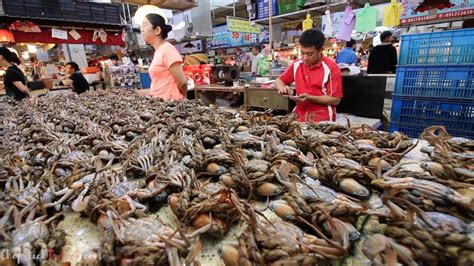 首信海鮮市場怎樣？繁體字文章探討