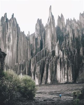 西麗風景獨特，何處可探其奥秘